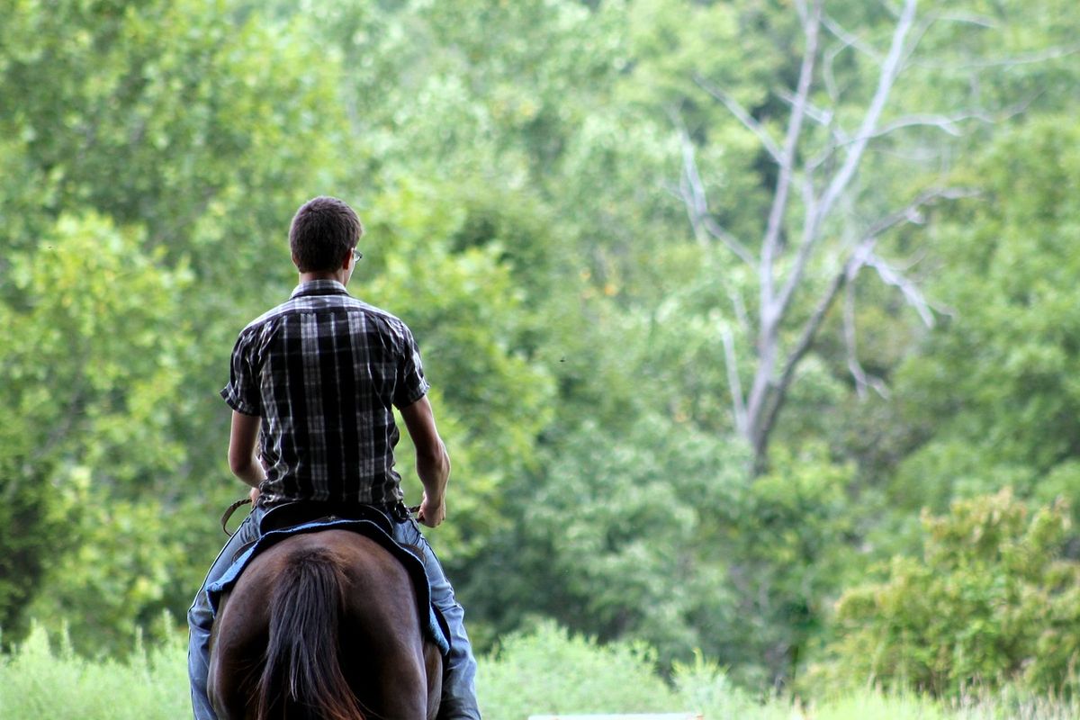 Eine Frau steht Stirn an Stirn mit einem Pferd im Wald