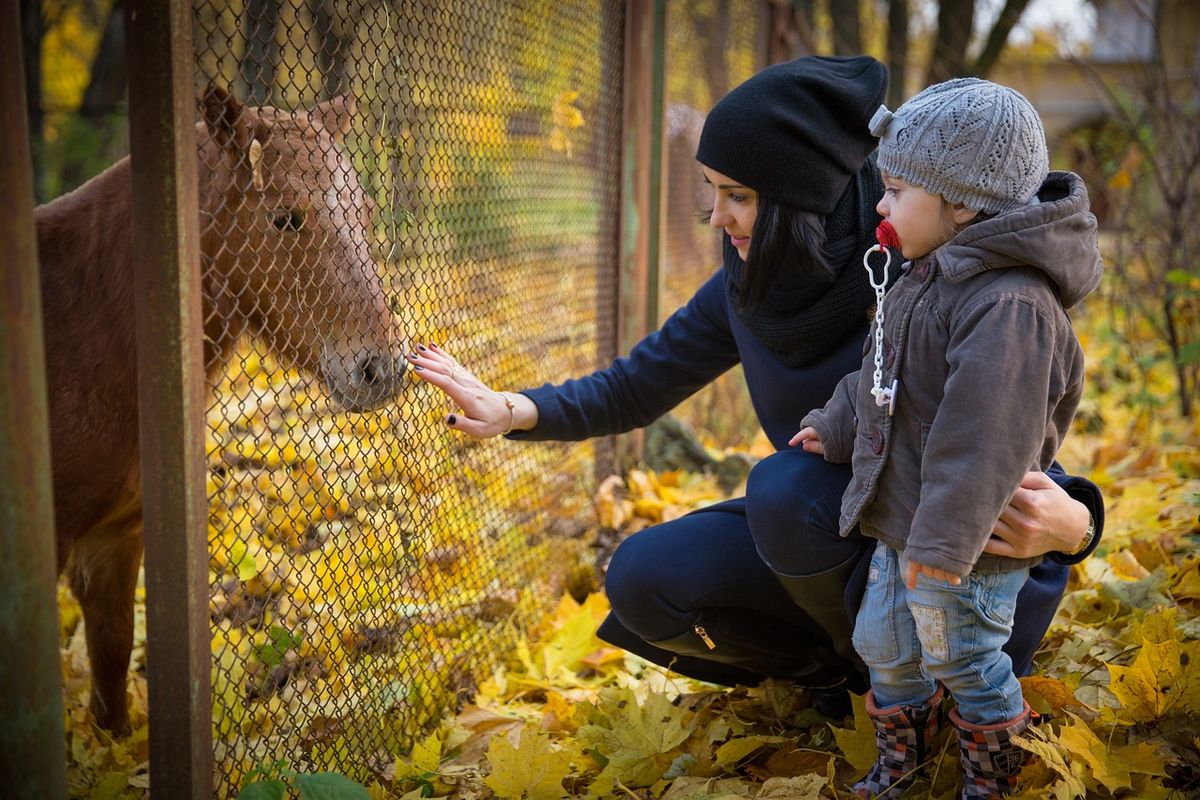 Zwei Menschen spazieren gemeinsam mit einem Pferd durch die Natur